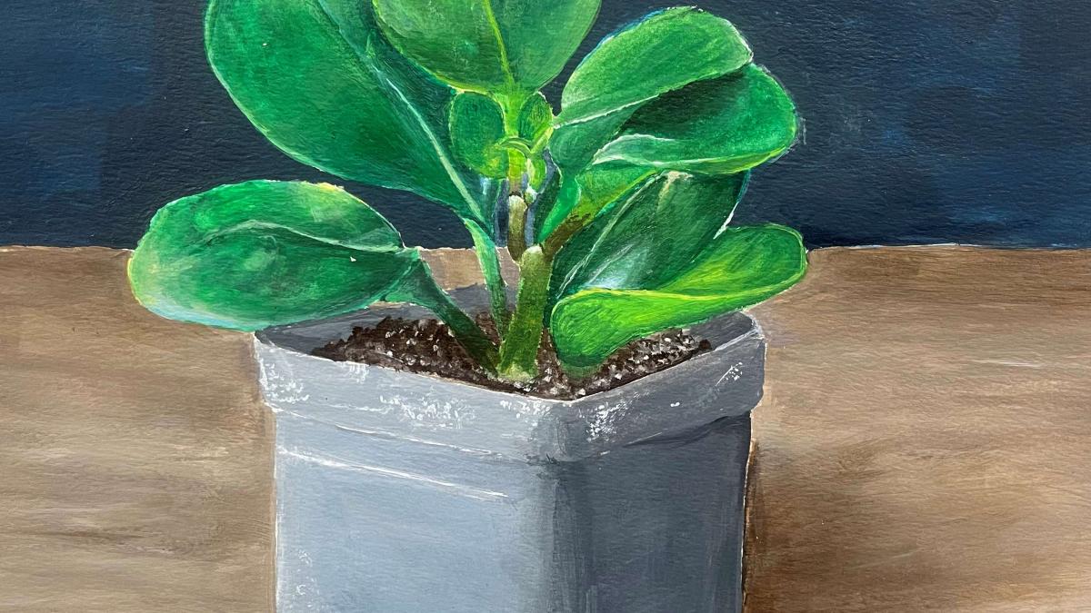 Helena High School. Lydia Colvin, From the Little Plant Store