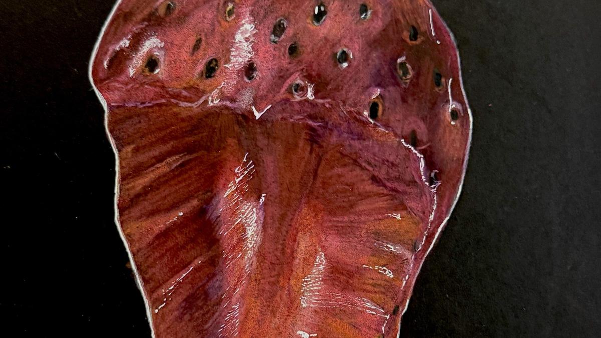 Chilton County High School, Ava Baugh