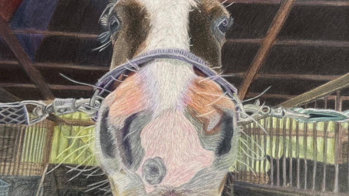 Chilton County High School, Chase Lowe