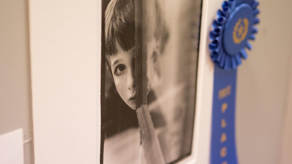 Congressional Art Competition Winner