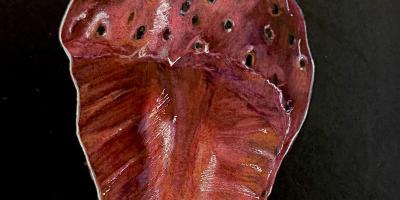 Chilton County High School, Ava Baugh