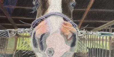 Chilton County High School, Chase Lowe