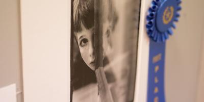 Congressional Art Competition Winner