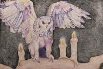 Mia Dunlap Altamont Owl