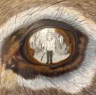 Chilton County High School, Chase Lowe 2