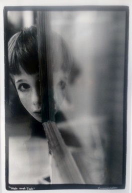 Congressional Art Competition Hide and Seek - Emery Walton