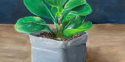 Helena High School. Lydia Colvin, From the Little Plant Store